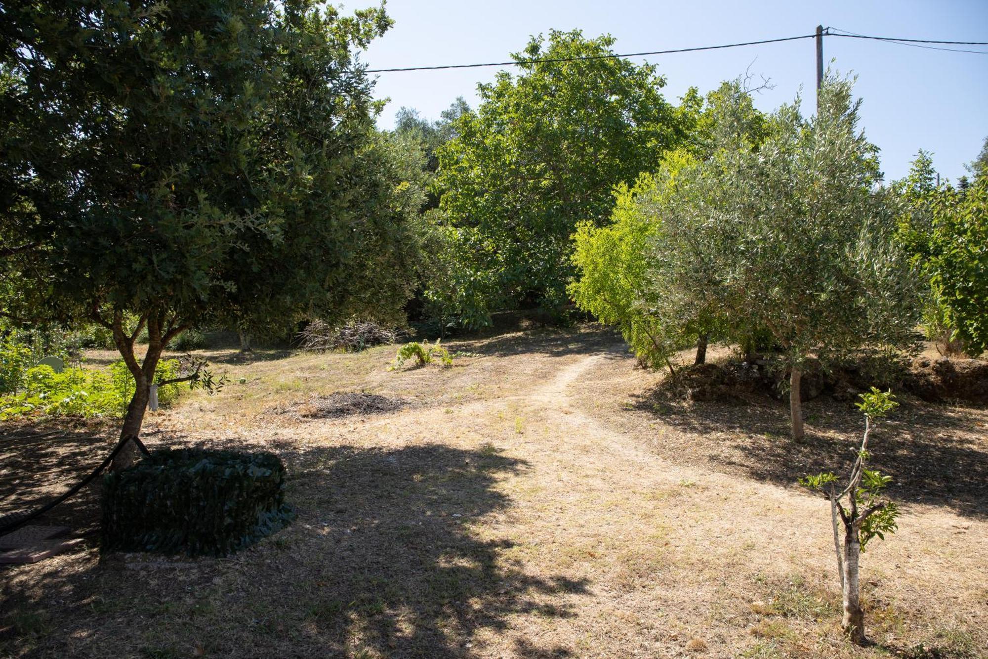 Apricus Domum Apartament