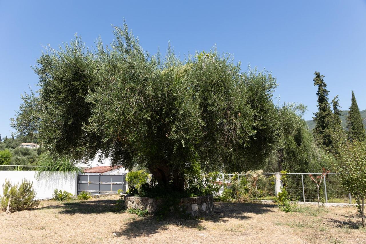 Apricus Domum Apartament Kato Korakiana